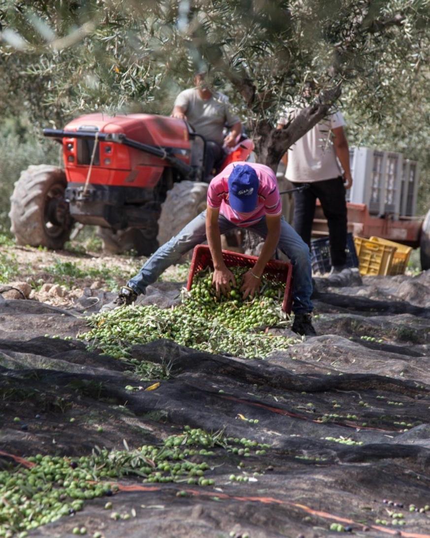 Azienda Agricola Mandranova Casa de hóspedes Palma di Montechiaro Exterior foto